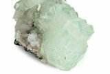 Gemmy Apophyllite Crystals with Stilbite - India #243889-1